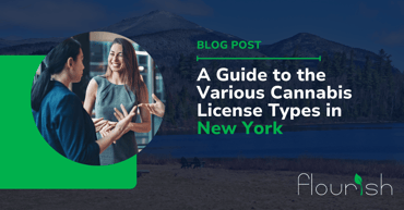 Guide to the Various Cannabis License Types in New York
