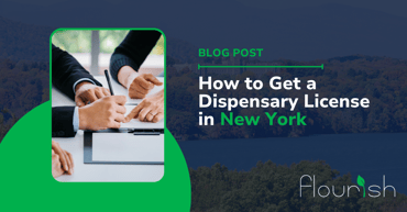 How to Get a Dispensary License in New York