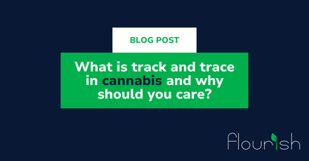 What Is Track and Trace in Cannabis and Why Should You Care?