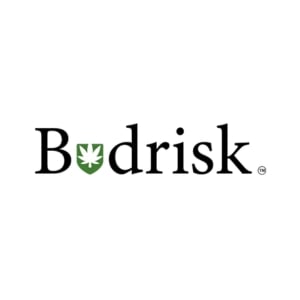 Budrisk Logo_Thumbnail 1x1