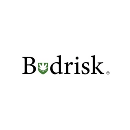 Budrisk