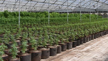 How Flourish's Inventory Planning and Reporting Tools Can Transform The Way You Operate