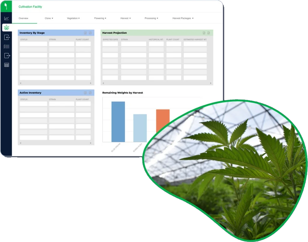 Cannabis and Hemp Cultivation Dashboard