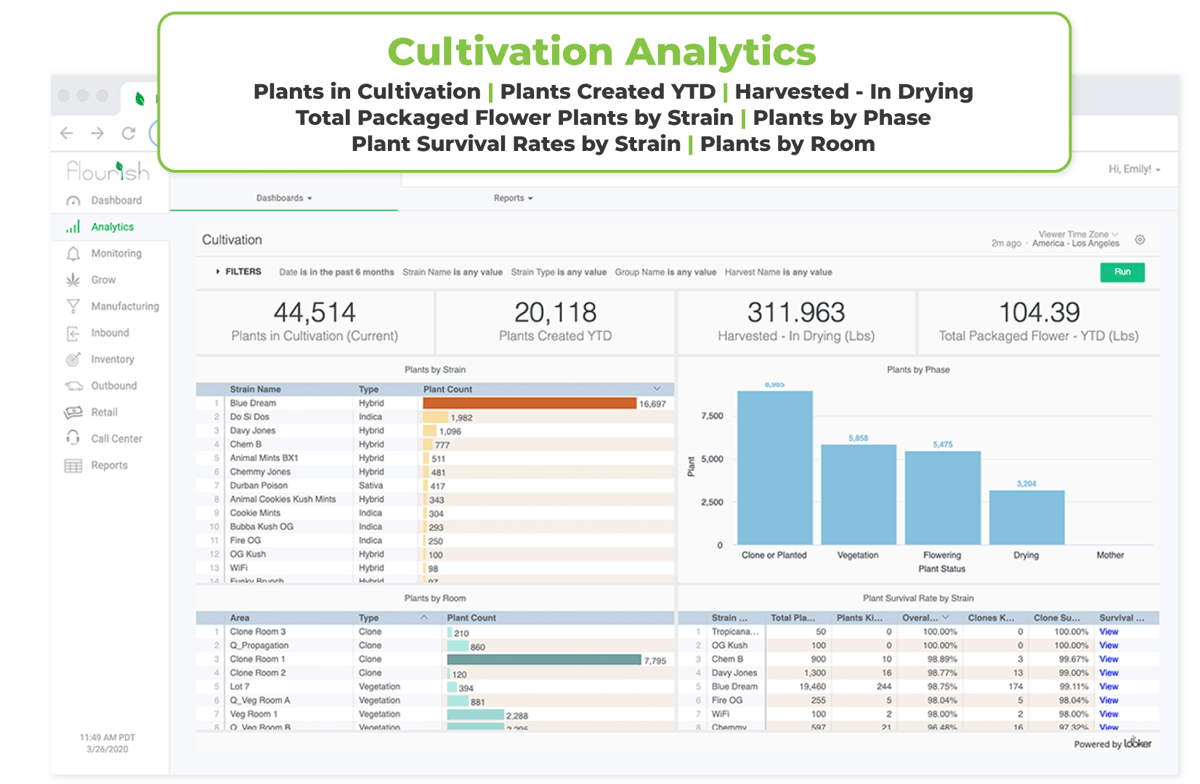 Cultivation_Flourish-Software-Analytics