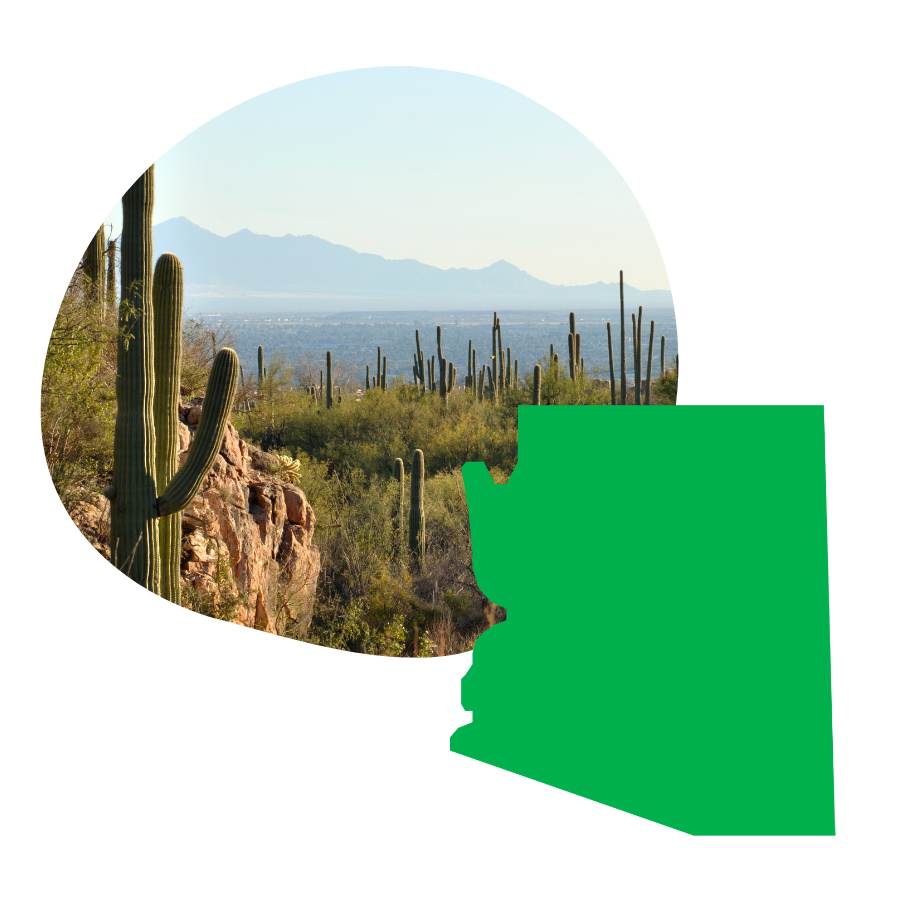 Flourish Arizona State Blurb