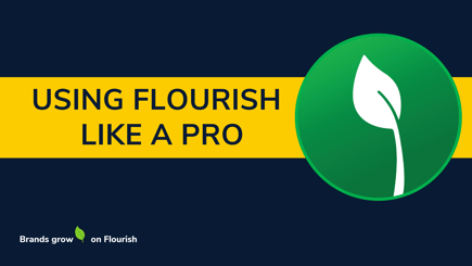 Flourish How To: Undo Packages