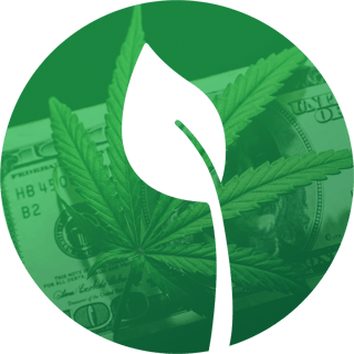 Flourish Icon_Money