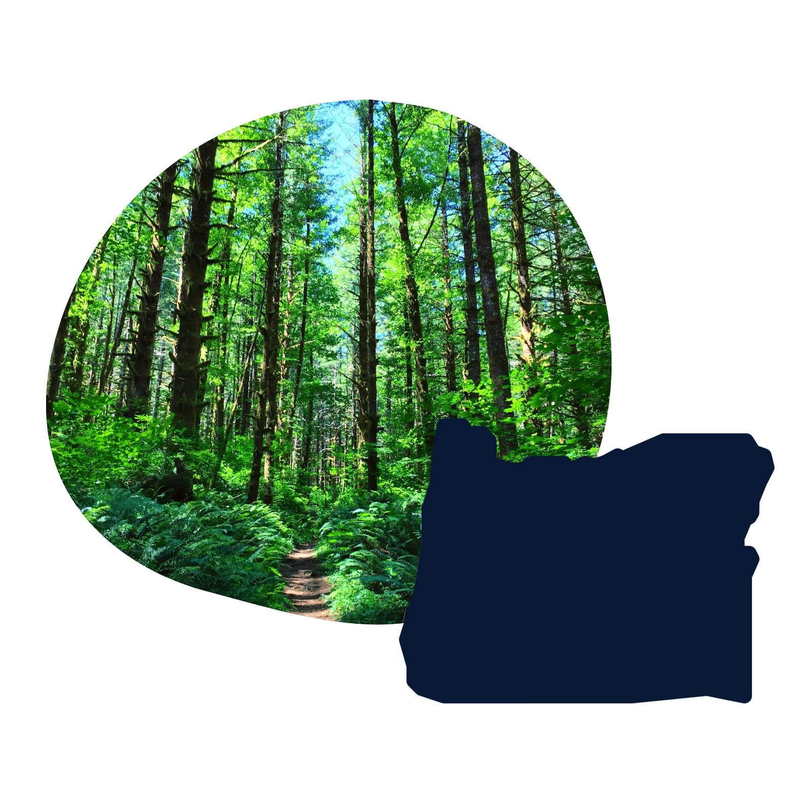 Flourish in Oregon