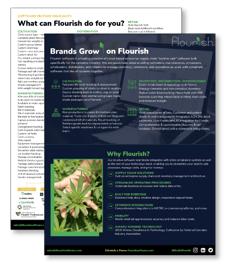 Flourish-Software-Fact-&-Features