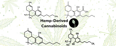 Hemp-Based Cannabinoids Uncovered: Delta 9, Delta 8, THCA, and CBD