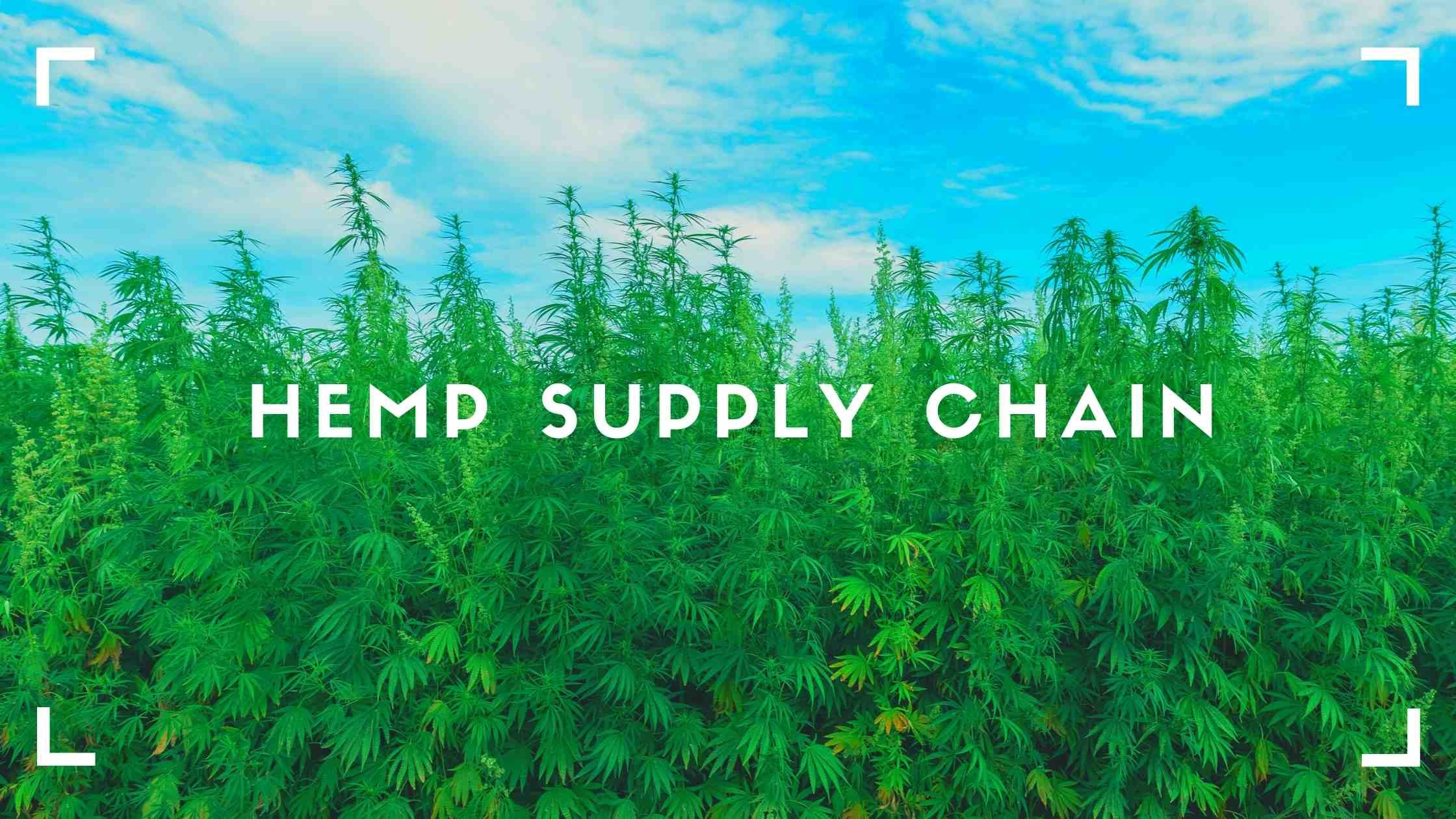 Hemp supply chain  banner