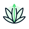 Rank Really High logo-Jan-19-2025-05-09-05-1817-PM