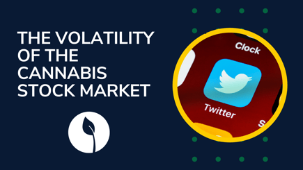 #MSOGang Cannabis Stocks