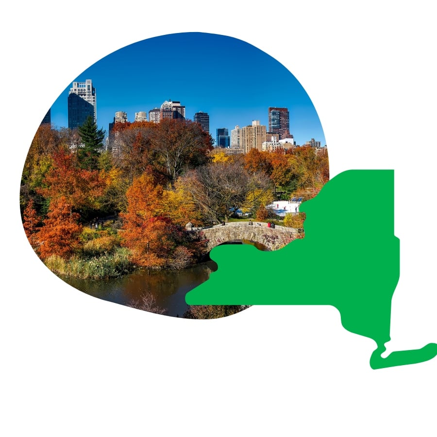 NY