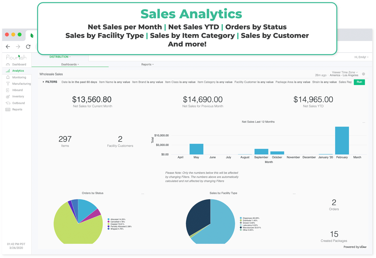 Sales Analytics_Flourish Software