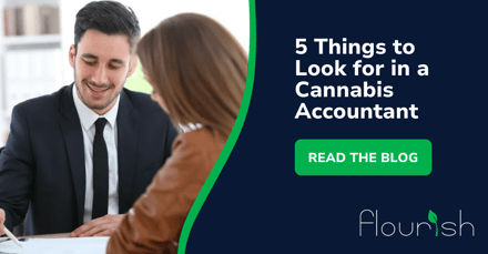 5 Things to Look for In a Cannabis Accountant