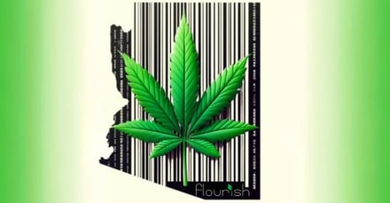 Too Transparent? Simplifying State's Approach to Cannabis Labeling with Flourish