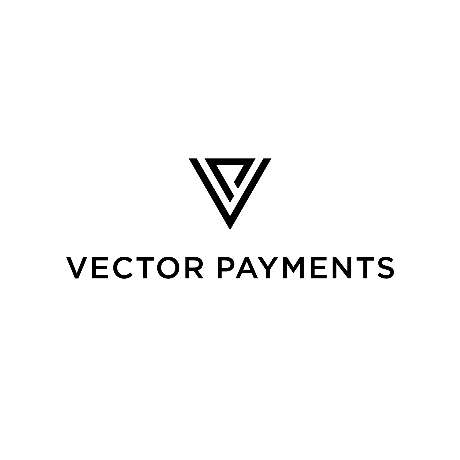Vector Payments