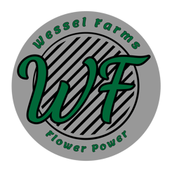 How Wessel Farms Manages Greenhouse Operations as Scale in NY