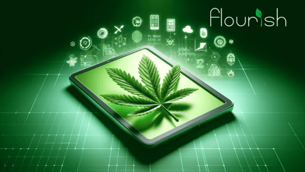 What is Cannabis Software?