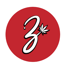 Zizzle Red Logo