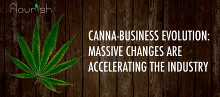 Canna-Business Evolution: Massive Changes are Accelerating the Industry