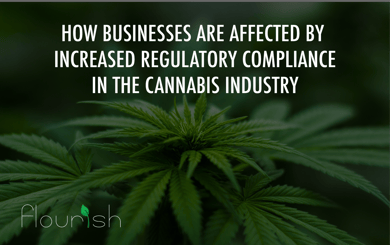 How Businesses Are Affected by Increased Regulatory Compliance in the Cannabis Industry