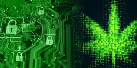 Cannabis IT Security: What Every Cannabis Company Needs to Know - Guest Blog with GeekTek