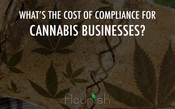 cost of compliance for cannabis businesses