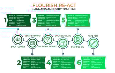 Leveraging Data-Driven Traceability with Flourish’s Newest Ancestry Feature