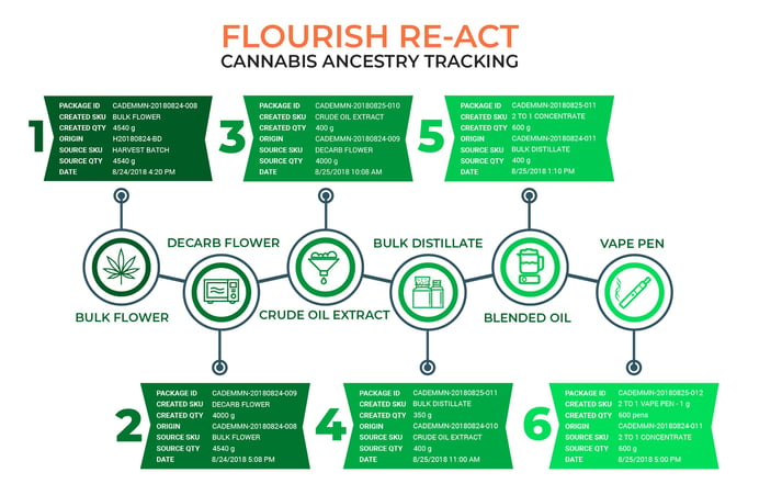 flourish re-act v2