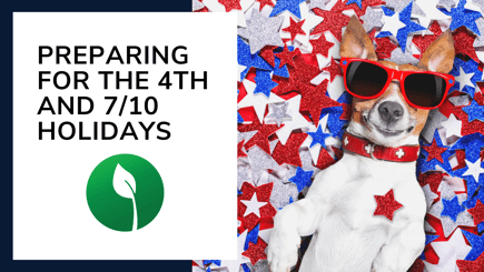 Fourth of July Prep