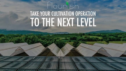 Press Release: Flourish Software Helps Cultivators Optimize Their Supply Chain