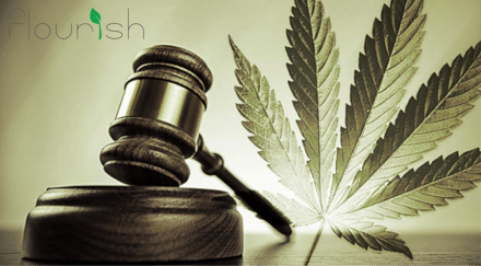 Attorney General Reverses Federal Marijuana Position