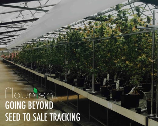 going beyond seed to sale tracking