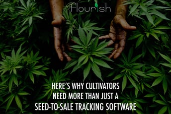 Flourish Profiled as Emerging Cannabis Software Company