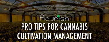 Pro Tips for Cannabis Cultivation Management!