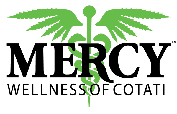 mercy-wellnes-logo