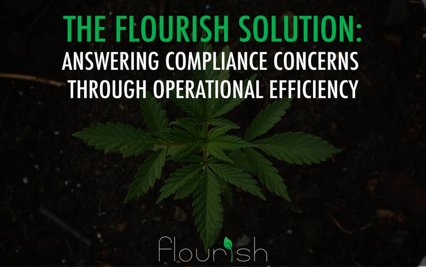 the flourish solution