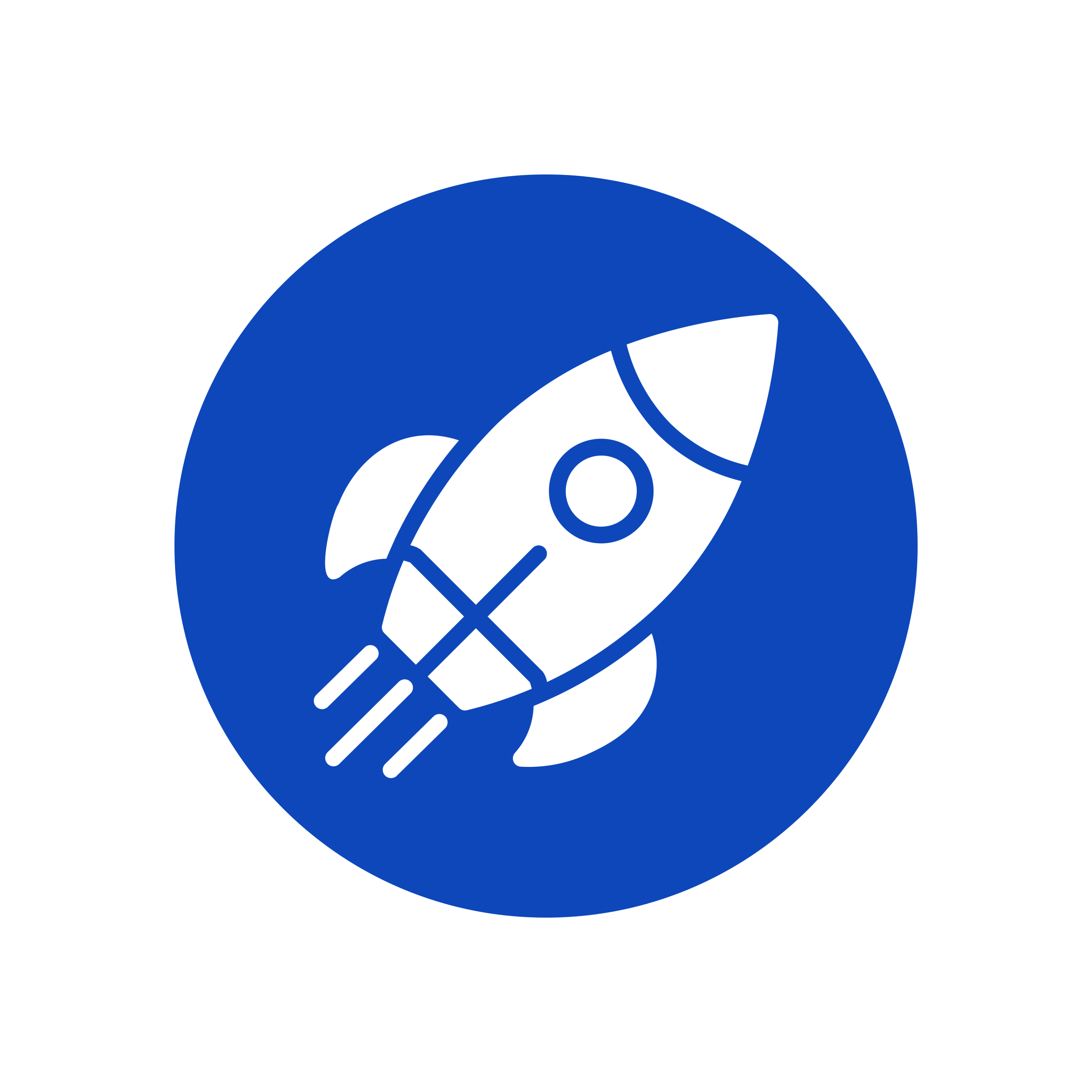 Blue Deploy