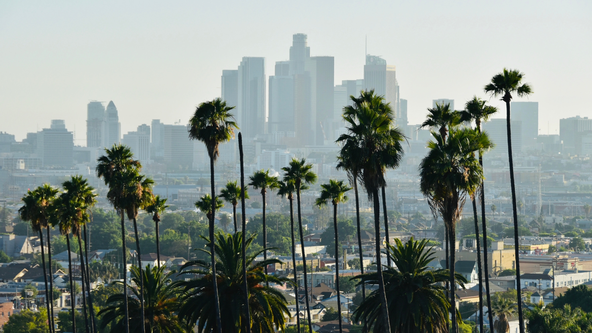 California City