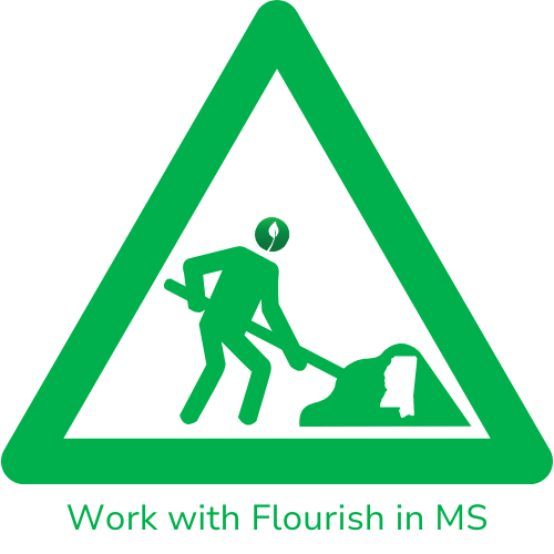Work with Flourish in MS