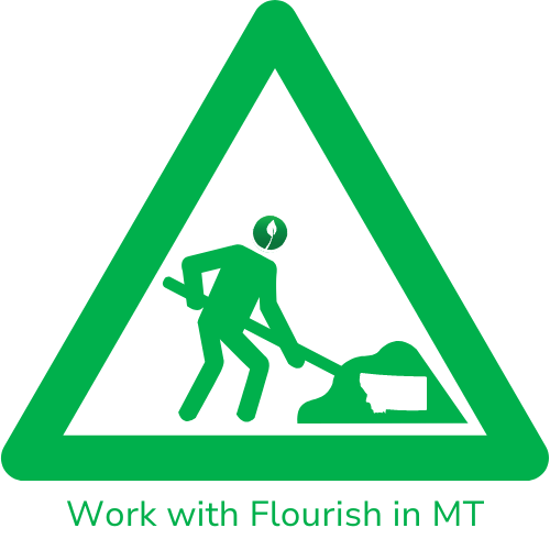 Work with Flourish in MT