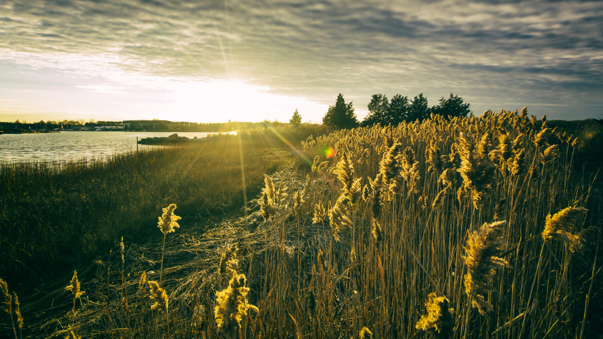 Rhode Island HEader