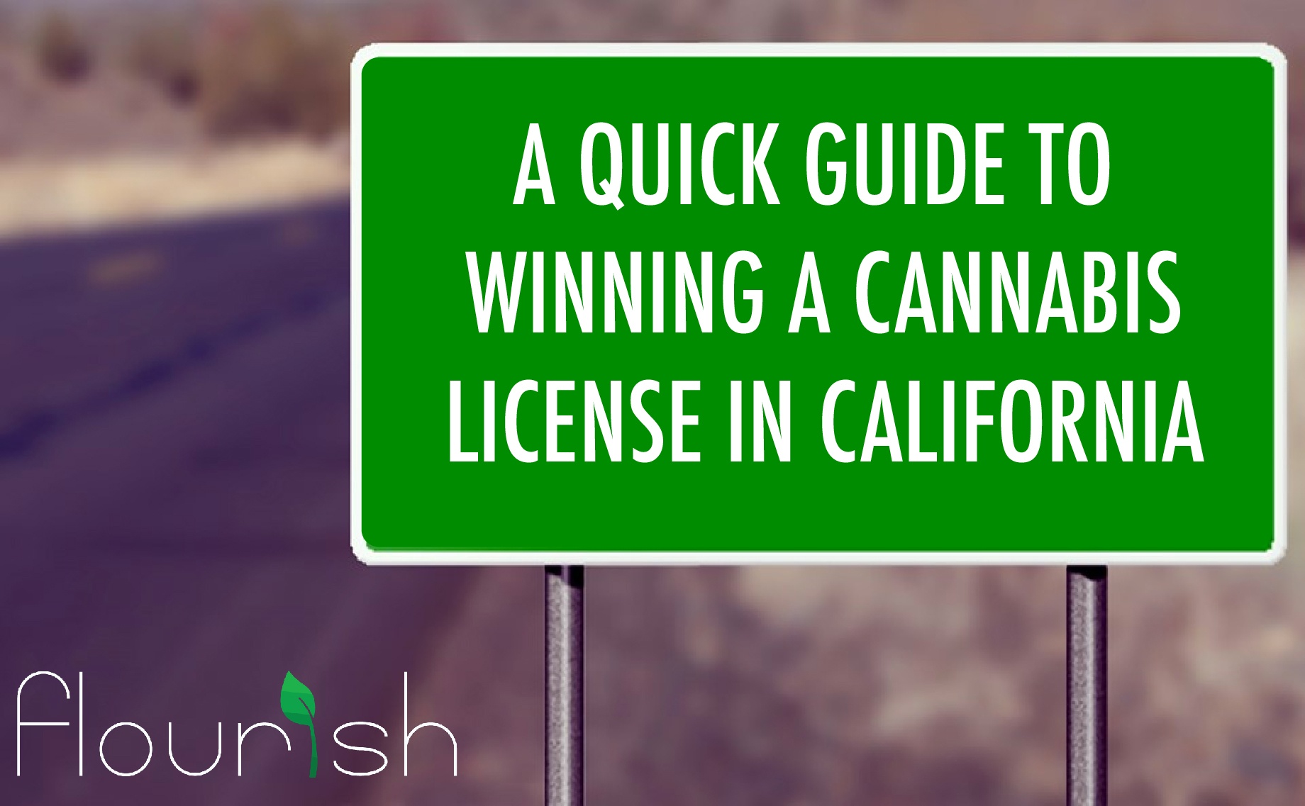 A quick guide to winning a cannabis license in California!