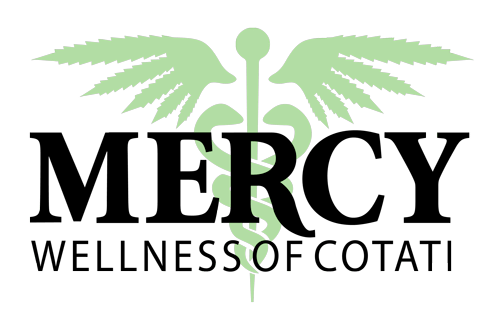 mercy+wellness